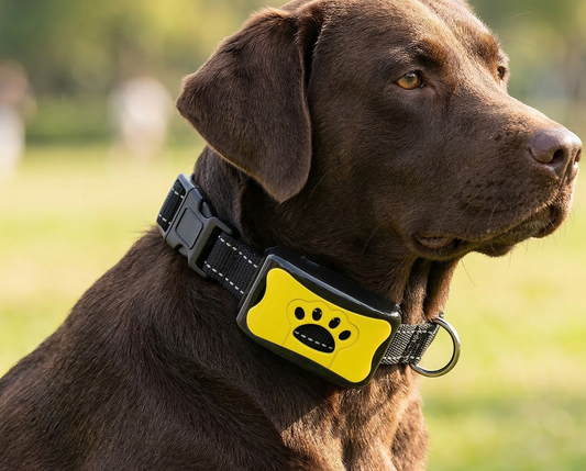 ClawFinds™ Smart Remote Dog Training Collar with Sound, Vibration & Shock