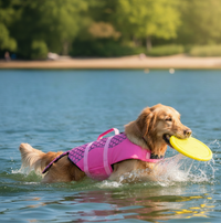 ClawFinds™ Safe & Lightweight Pet Life Jacket for Water Adventures