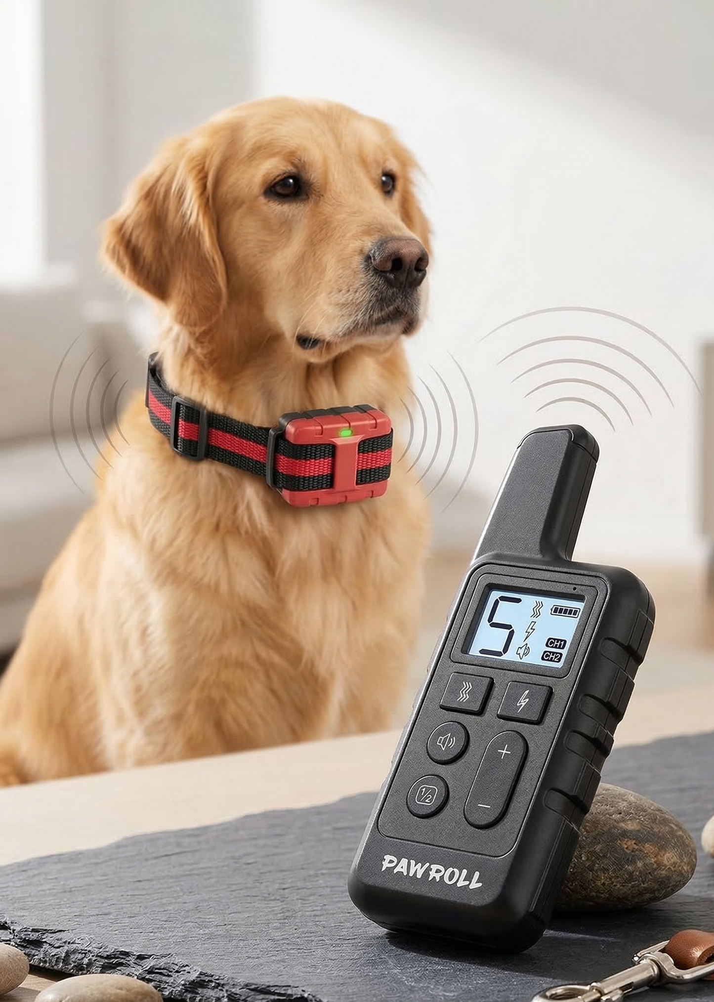 ClawFinds™ Smart Training Collar For Two Dogs