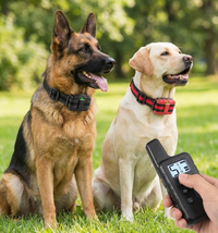 ClawFinds™ Smart Training Collar For Two Dogs