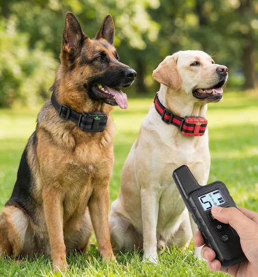 ClawFinds™ Smart Training Collar For Two Dogs