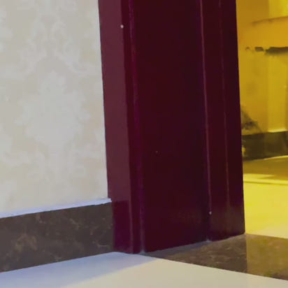 ClawFinds™ Smart Remote Dog Training Collar with Sound, Vibration & Shock