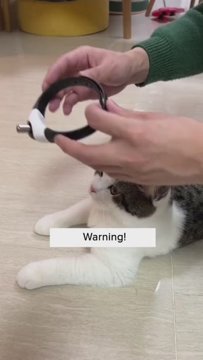 ClawFinds™ Interactive Smart LED Cat Toy for Endless Fun